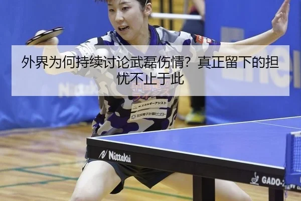 wai-jie-wei-he-chi-xu-tao-lun-wu-lei-shang-qing-zhen-zheng-liu-xia-de-dan-you-bu-zhi-yu-ci-2-248.jpg